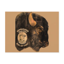 Buffalo Bill's Wild West Show vintage 1898 Postcard