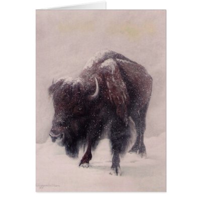 Buffalo Blizzard Card by DiDi_Higginbotham