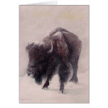 Buffalo Blizzard cards