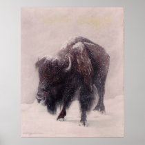 Buffalo Blizzard print