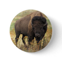 Buffalo Button
