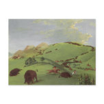 Buffalo Chase, Mouth of the Yellowstone by Catlin postcards