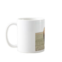Buffalo Cow Coffee Mugs