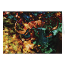 Buffalo Dagga Boy - art cards