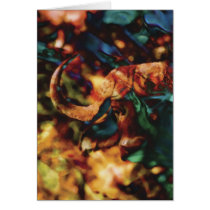 Buffalo Dagga Boy - art cards