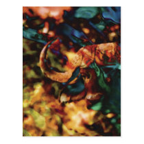 Buffalo Dagga Boy postcards