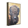 Buffalo Eating Gallery Wrapped Canvas