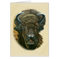 Buffalo Eating Cards