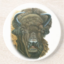 Buffalo Eating Coaster