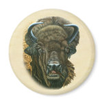 Buffalo Eating Magnet