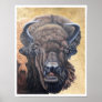Buffalo Eating Poster