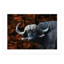 Buffalo fantasy art postcards