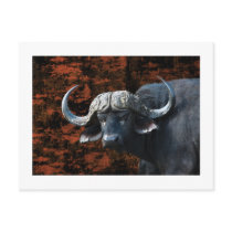 Buffalo fantasy art post card