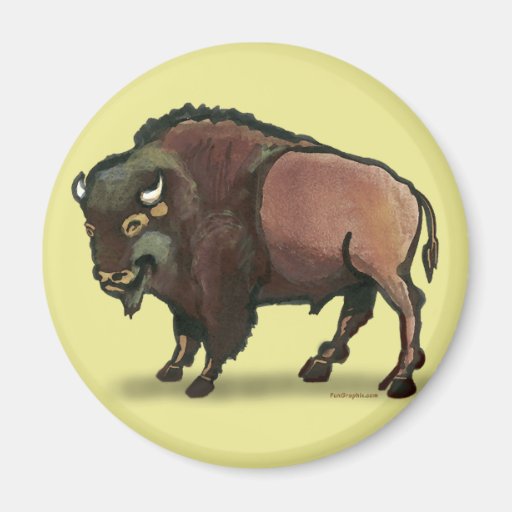 Buffalo Fridge Magnets