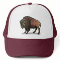 Buffalo hats