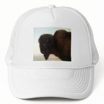 Buffalo Head art Albert Bierstadt bison painting