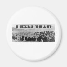buffalo herd that playaaa magnet