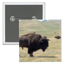 Buffalo Hunts Button