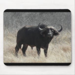 Buffalo In South Africa Mouse Pads