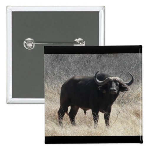 Buffalo In South Africa Pinback Button