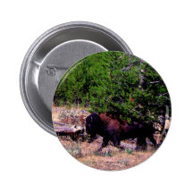 Buffalo in Yellowstone Button