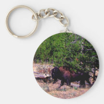 Buffalo in Yellowstone Key Chains