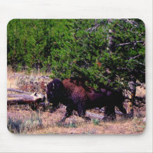 Buffalo in Yellowstone Mouse Pads