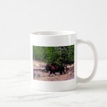 Buffalo in Yellowstone Mugs
