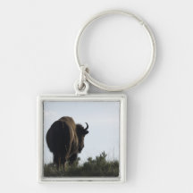 Buffalo Key Ring Keychain
