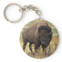 Buffalo Keychains