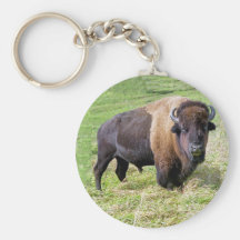 buffalo keychain