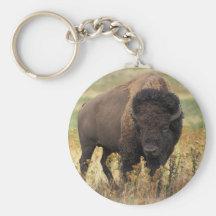 Buffalo Keychains