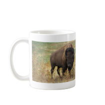 Buffalo Mugs