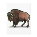 Buffalo Post Cards