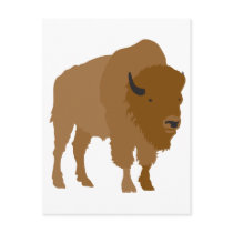 Buffalo Post Card