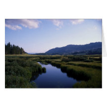 Buffalo River, North Fork Wy. Cards
