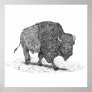Buffalo Roaming Framed Print