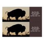 Buffalo Silhouette Bookmarkers Postcard
