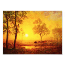Buffalo Sunset on the Mountain Photo Print