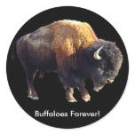 Buffaloes Forever! Bison Lover Art Stickers