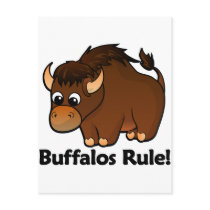Buffalos Rule!