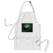 bug aprons