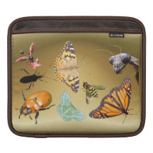 Bug Collage ~ iPad Sleeve