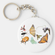 Bug Collage ~ keychain