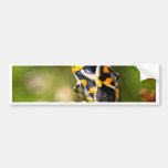 bug insect   in  the  nature bumper stickers