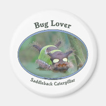 Bug Lover Saddleback Caterpillar Refrigerator Magnet