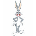 Bugs Bunny Standing t-shirts