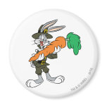 Bugs Pilgrim Thanksgiving Carrot magnets