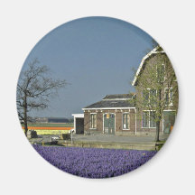 Bulb fields, Netherlands  flowers Magnet