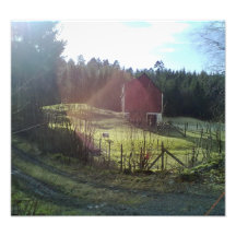 Bulding and sheep photo print
